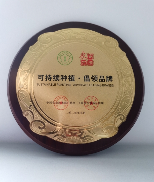 榮譽(yù)證書(shū)