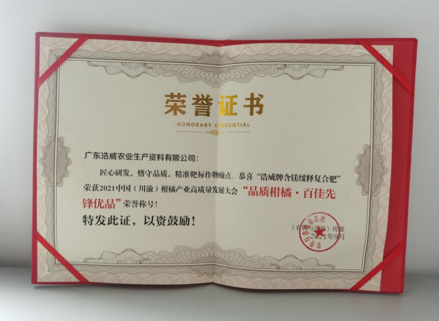 榮譽(yù)證書(shū)