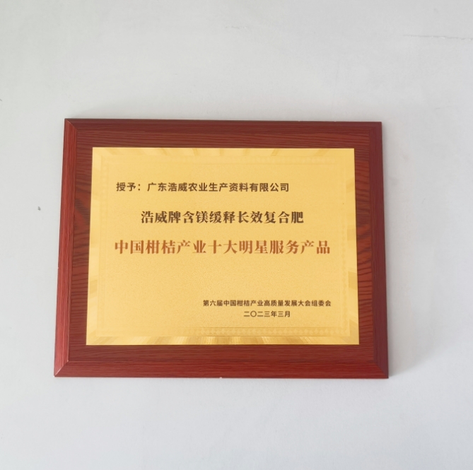 榮譽(yù)證書(shū)